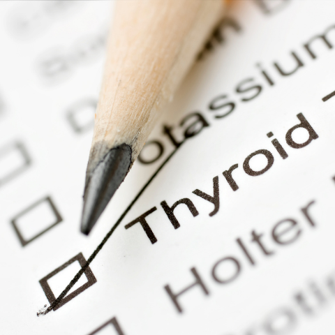 Artificial Sweeteners, Hashimoto's, Thyroid and ALLULOSE