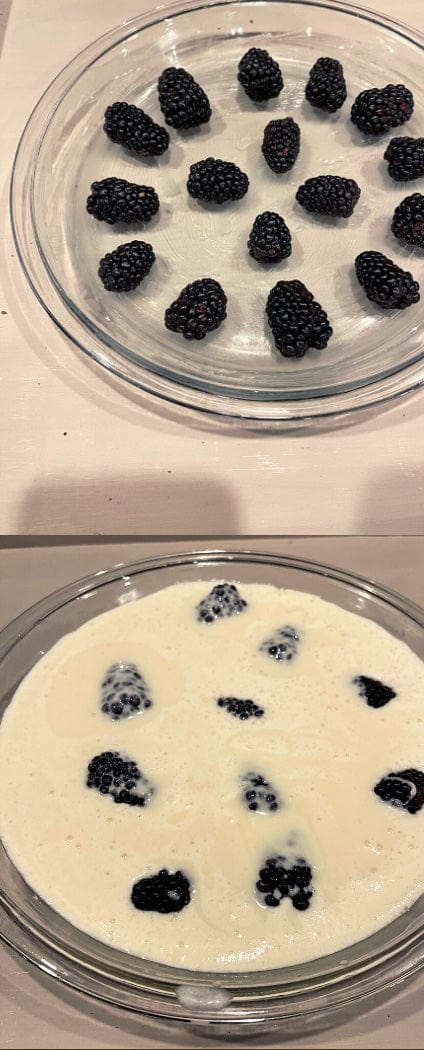 Keto Clafoutis Dessert