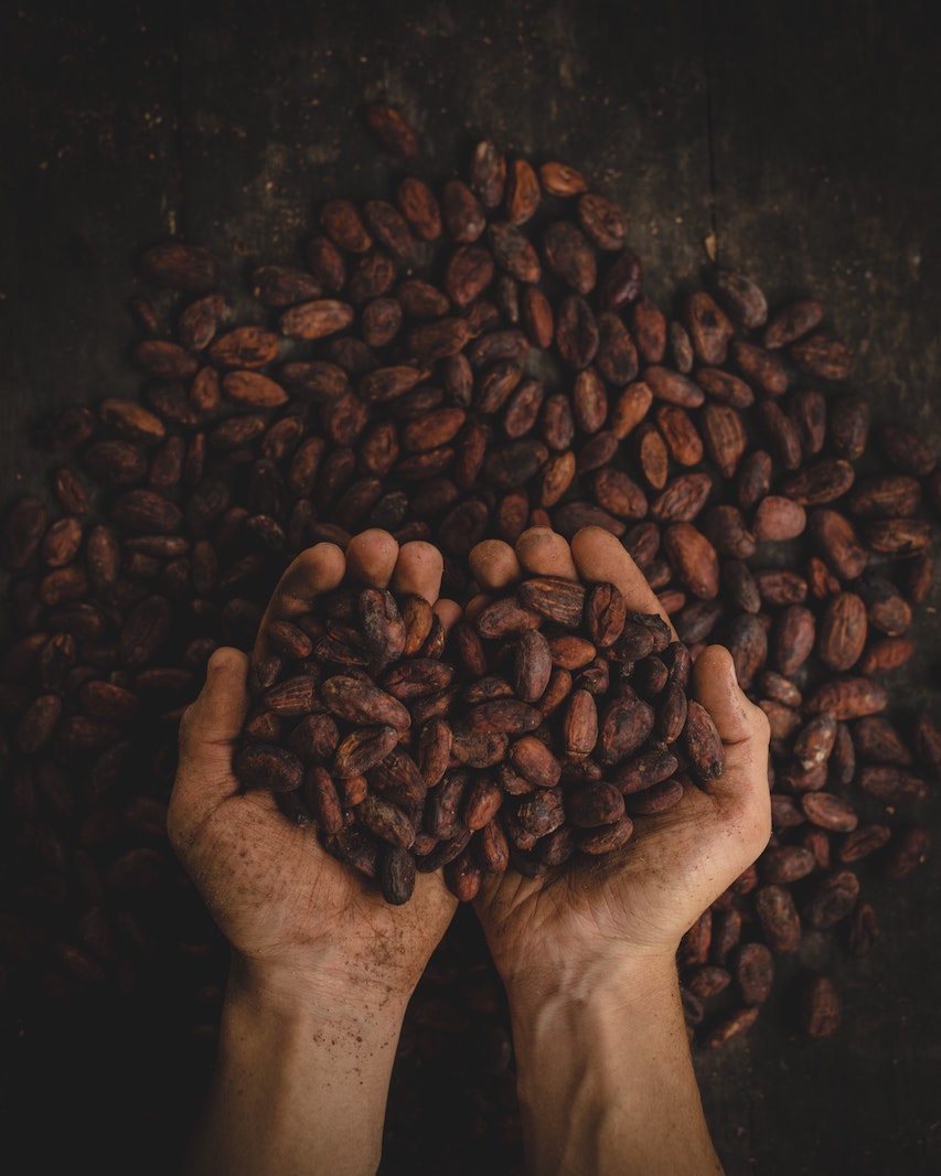pictures of the hands of a farmer holding cocoa beans from a sustainable farm